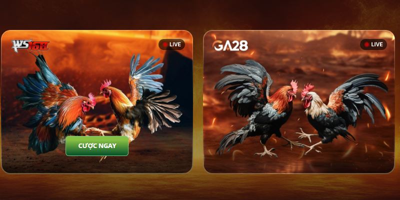 đánh giá 11bet club