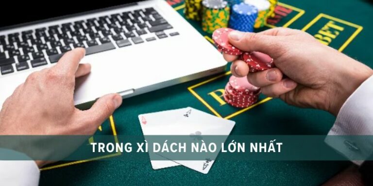 bộ bài lớn nhất trong xì dách