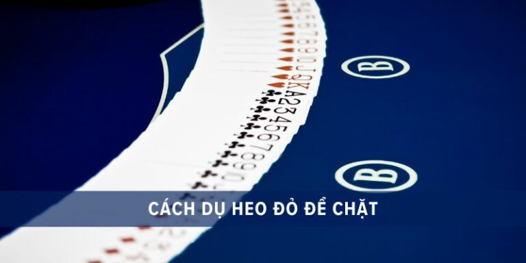 cách dụ heo đỏ để chặt
