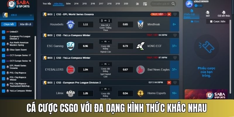 cá độ CSGO